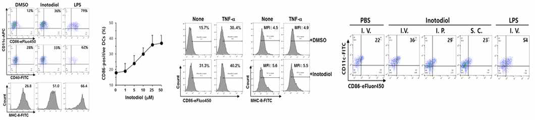 Inotodiol에 의한 수지상세포의 활성화, Inotodiol을 처리한 대식세포의 변화, Inotodiol의 수지상세포 활성 In vivo 효과