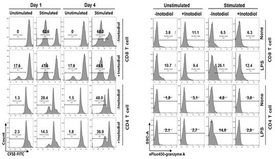 T 세포 증식에 대한 inotodiol의 영향과 LPS 자극에 의한 granzyme A 발현에 대한 inotodiol의 영향