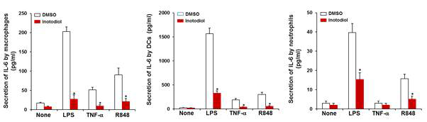 탐식세포에서 여러 자극제에 의한 IL-6 분비에 대한 inotodiol의 영향
