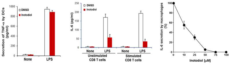 LPS로 자극한 수지상세포에서 TNF-α 분비에 대한 inotodiol의 영향, LPS를 처리한 T 세포에서 IL-6 분비에 대한 inotodiol의 영향, LPS로 자극한 대식세포에서 inotodiol에 의한 IL-6 분비의 농도의존형 억제