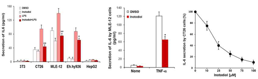 LPS를 처리한 여러 세포들에서 IL-6 분비에 대한 inotodiol의 영향, TNF-α로 자극한 MLE-12 세포에서 IL-6의 분비에 대한 inotodiol의 영향, LPS로 자극한 CT26 세포에서 IL-6 분비에 대한 inotodiol의 농도의존형 억제