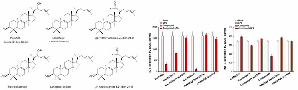Inotodiol 및 그 유도체의 화학구조, LPS로 자극한 수지상세포에서 inotodiol 및 유도체의 IL-6 및 TNF-α 분비에 대한 영향