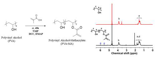 PVA에 광가교 가능한 관능기인 Methacrylate 그룹 도입 반응 모식도와 해당 반응 전/후의 NMR 데이터