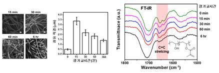 공초점 레이저 현미경으로 측정된 광가교 시간에 따른 나노섬유의 직경과 (아래) FTIR로 측정한 광가교 시간에 따른 C=C 신축 피크 변화