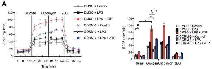 CORM-3 의 NLRP3 인플라마좀 활성 의존적 포도당 해당과정 억제 효과 확인