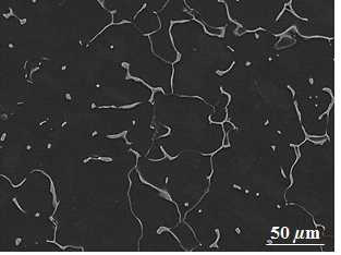 Mg-4Zn-0.5Ca-0.8Mn (permanant mold casting)