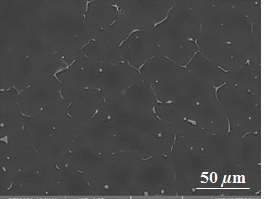 squeeze cast Mg-4Zn-0.5Ca-4Mn