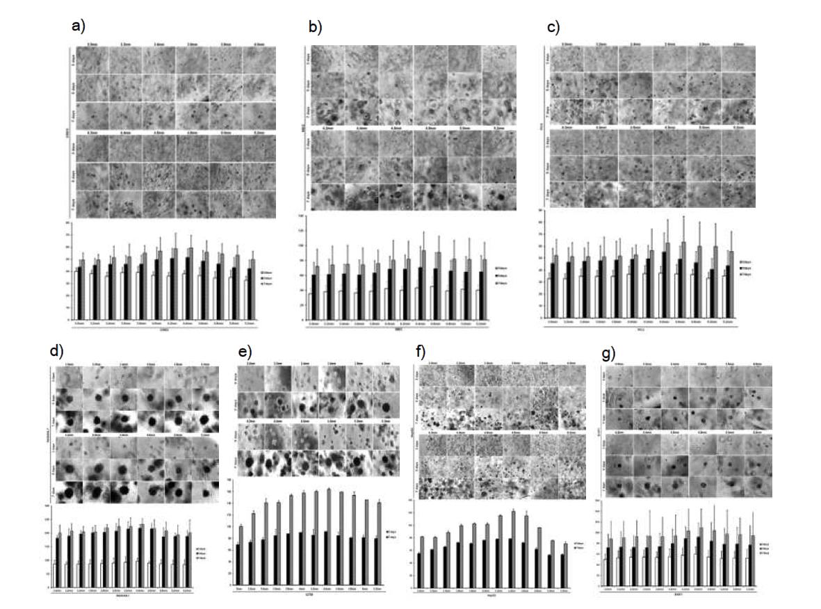 지름 A ~ E mm 복합 하이드로겔 지지체에서 세포 종류에 따른 스페로이드의 크기를 측정한 결과, 위상차현미경 사진과 스페로이드 평균직경을 측정한 결과를 나타낸 그래프 a) 면역조직기질세포(CREC) b) 속질상피세포(MEC) c) 사람전립선암세포(PC3) d) 마우스큰포식세포(RAW264.7) e) 마우스흑색종세포(B16F1) f) 사람간암세포(HepG2) g) 사람난소암세포 (A2780)