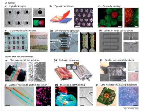 조직칩모델(on-chip tissue model)을 개발하는데 필요한 다양한 나노공정기술 [Ghaemmagham, 2012]