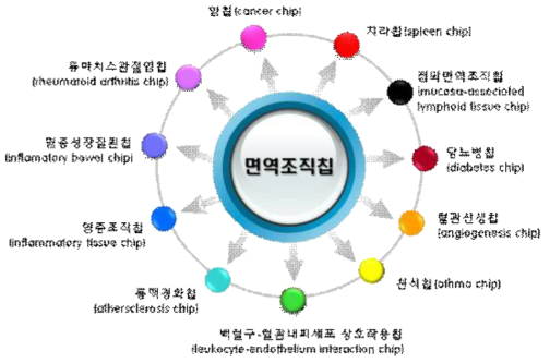 체내 이식용 면역재생촉진 인공면역조직 제작의 플랫폼(platform)