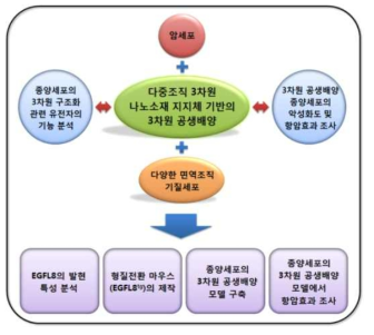 다중조직 3차원 나노소재 지지체 기반 종양세포 배양 모델 구축