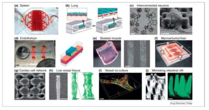 현재까지 제시된 다양한 조직칩모델(on-chip tissue model)과 배양플랫폼[Ghaemmagham, 2012]