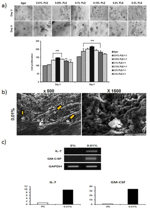 a) 복합 하이드로겔에서 PLE-1-1 농도에 따른 면역조직 기질세포(CREC)의 부착 특성을 확인한 결과. 위) 위상차현미경 사진, 아래) WST-1 assay 결과 그래프, b) PLE-1-1이 포함된 복합 하이드로겔 지지체에서 형성된 면역조직 기질세포(CREC) 스페로이드를 관찰한 주사전자현미경 사진, c) PLE-1-1이 포함된 복합 하이드로겔 지지체에서 면역조직 기질세포(CREC)의 유전자 발현 분석. 위) RT-PCR 결과, 아래) 결과를 정량화한 그래프