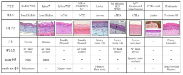 국내외 인체피부모델 비교