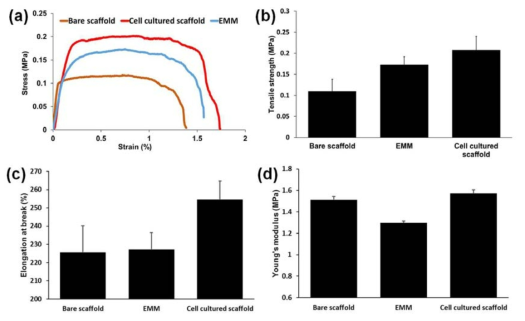 (a) strain-stress curve, (b) tensile strength, (c)Elongation at break, (d) Young’s modulus Bare scaffold(세포를 분주하지 않은 전기방사섬유) EMM(세포 분주 후, 1% SDS를 처리한 전기방사섬유) Cell cultured scaffold(세포 분주 후, 1% SDS를 처리하지 않은 전기방사섬유)