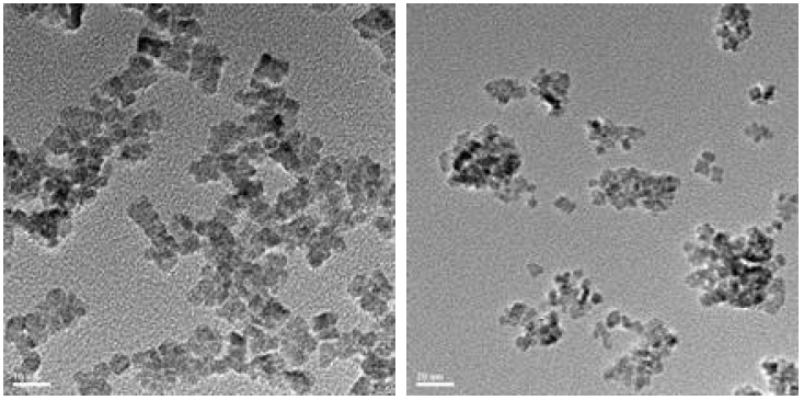 합성한 CeO2 나노입자의 HR-TEM (200,000 배율). (좌) 필터 (200 nm pore size)로 거르기 전, (우) 필터 사용 후