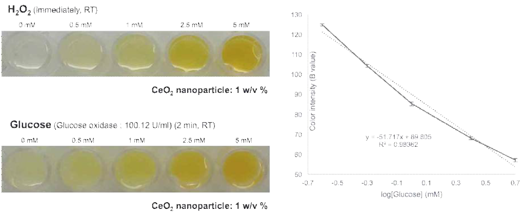 w/v% CeO2 나노입자와 H2O2 농도 및 포도당(glucose) 농도에서 발색 가능성을 평가
