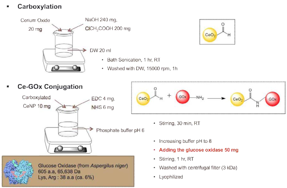 CeO2-GOx 나노복합체 발색단 합성 과정