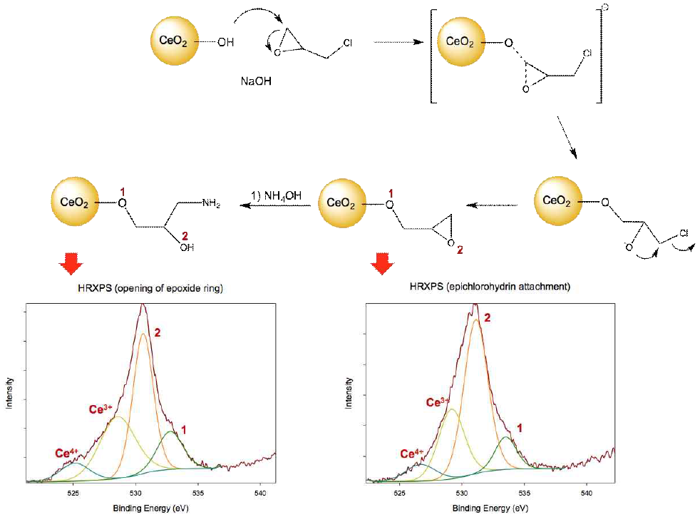 CeO2 나노입자 표면에 아민기 도입 반응식. [하] CeO2 나노입자를 아민기로 치환시 중간체의 XPS. (좌) epichlorohydrin 치환. (우) epichlorohydrin의 ring opening을 통해 아민기 형성