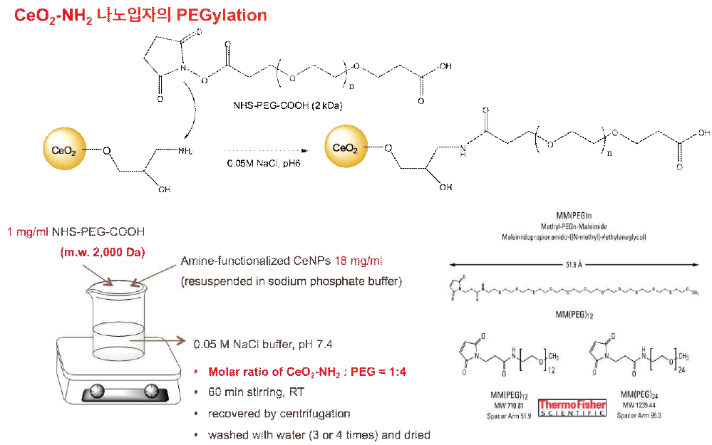 CeNP-NH2에 bifunctional PEG 도입 반응식