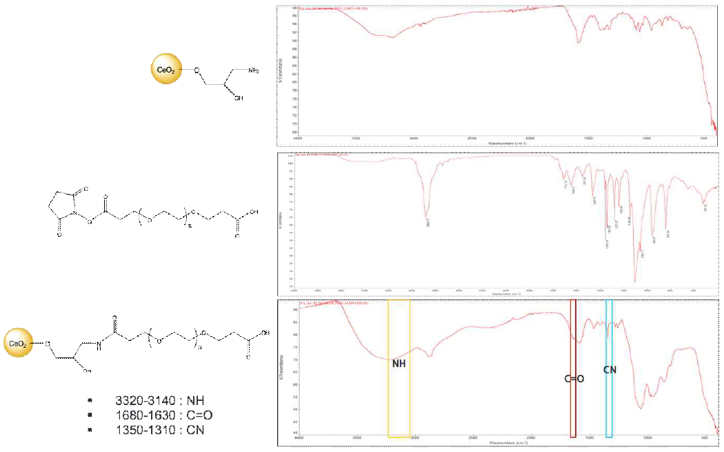 CeO2-PEG-COOH의 FT-IR 분석