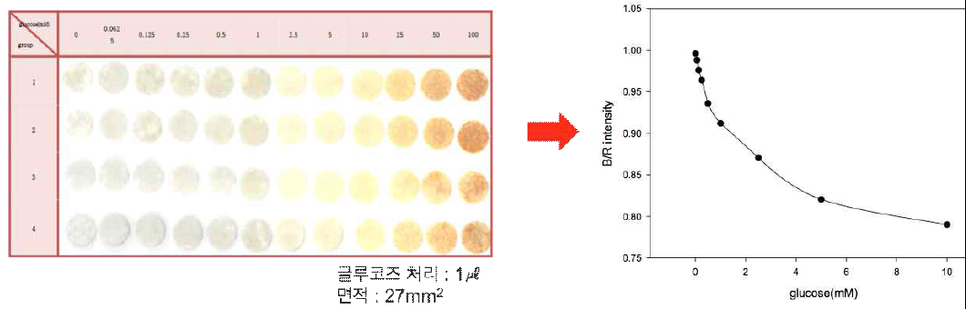 포도당 농도에 따른 B/R 변화