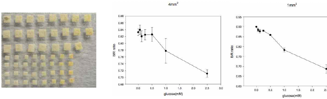 스트립센서 면적별로 포도당 농도에 따라 반응 후 B/R 변화