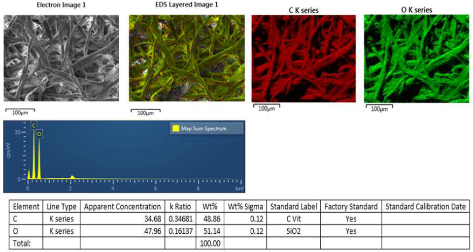 SEM- EDS mapping. 쉬르머지