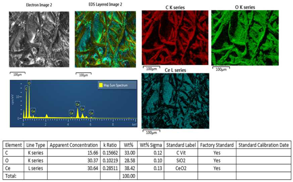 SEM- EDS mapping. CNP를 코팅한 쉬르머지