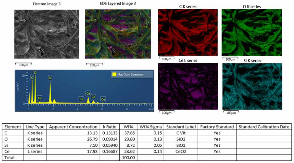 SEM- EDS mapping CNP, APTS를 코팅한 쉬르머지