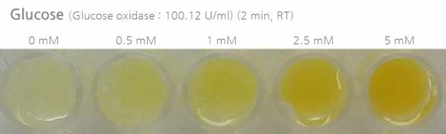 글루코스 농도변화에 따른 색상 차이