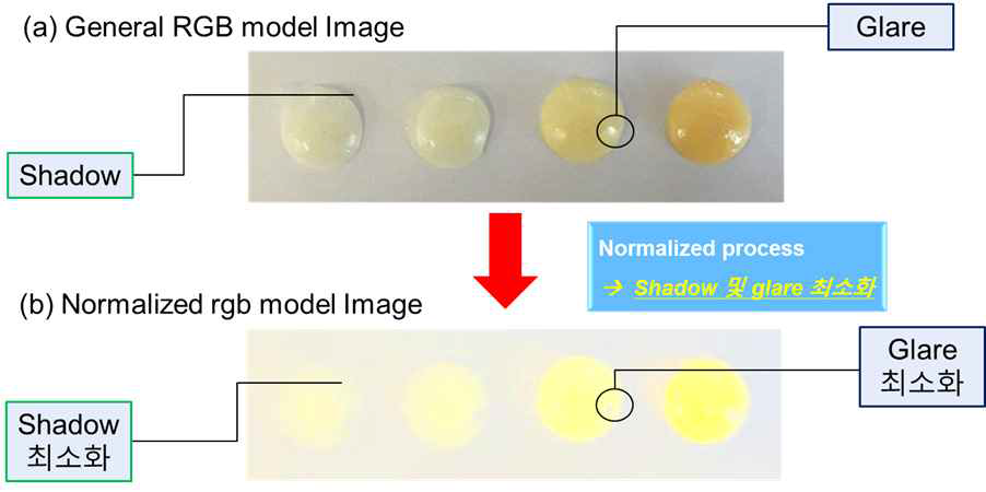 Normalized image 획득에 따른 shadow 및 glare 최소화