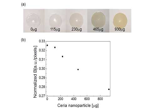 (a). Indirect co-axial illumination에서 촬영된 콘택트렌즈 센서 사진 및 (b). Normalized B value 그래프