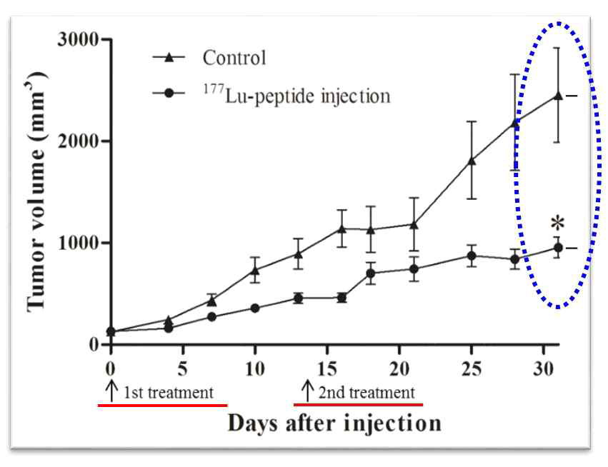 방사성 약물전달체의 치료효과 * Lu-177 약물전달체를 2회 투여했을 때 전립선암 성장이 2배 이상 억제 됨