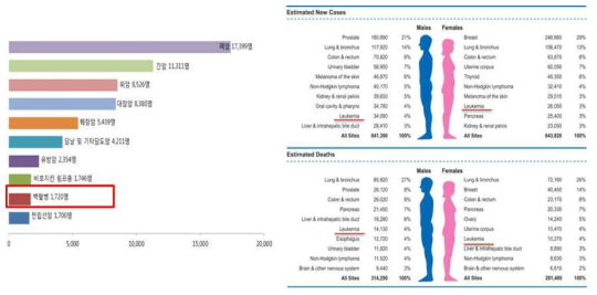 2015년 국내 암종별 사망자 수(좌, 국가암정보센터) 및 2016 미국 성별 주요 암 발생률 및 사망률(우, A Cancer Journals for Clinicians, 2016)