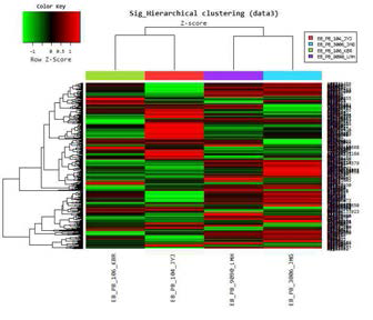 mRNA Expression Profile 계층적 군집 분석