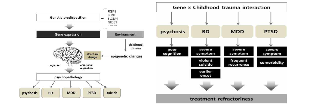 유전자와 유년기 외상병력 및 질환별 증상간의 관계
