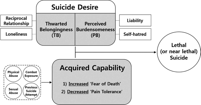 자살행동의 대인관계 심리학적 이론(IPTS)
