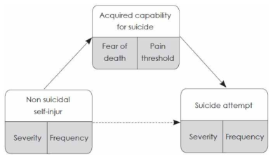 비자살적 자해와 자살시도 간 습득된 자살잠재력의 매개 효과