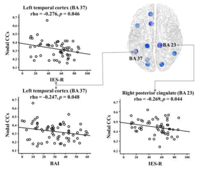 전두엽 세타파와 관련된 뇌의 영역 (Shim et al., 2017)