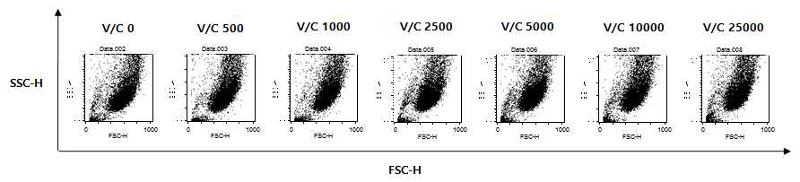 Lentivirus 벡터의 전달양에 따른 UC-MSC 크기와 granularity 변화