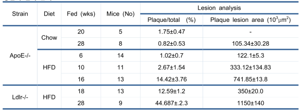 동맥경화증 모델 마우스에서의 정상 및 고지방사료급이에 따른 대동맥병변의 분포와 대동맥궁 병변의 면적 분석