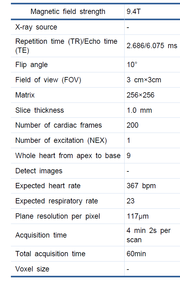 마우스 맞춤용 MRI scan parameters