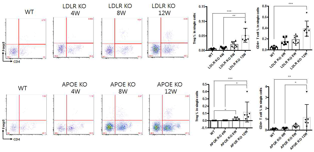 지혈증 유발사료 급이 주령에 다른 면역세포 변화양상 분석결과 (Regulatory T cells)