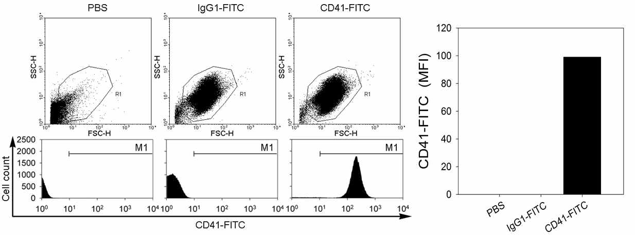 Flow cytometry를 이용하여 원심분리법으로 분리한 혈소판의 purity 확인