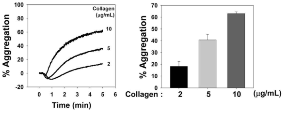 Collagen 농도 의존적 마우스의 혈소판 응집능 증가
