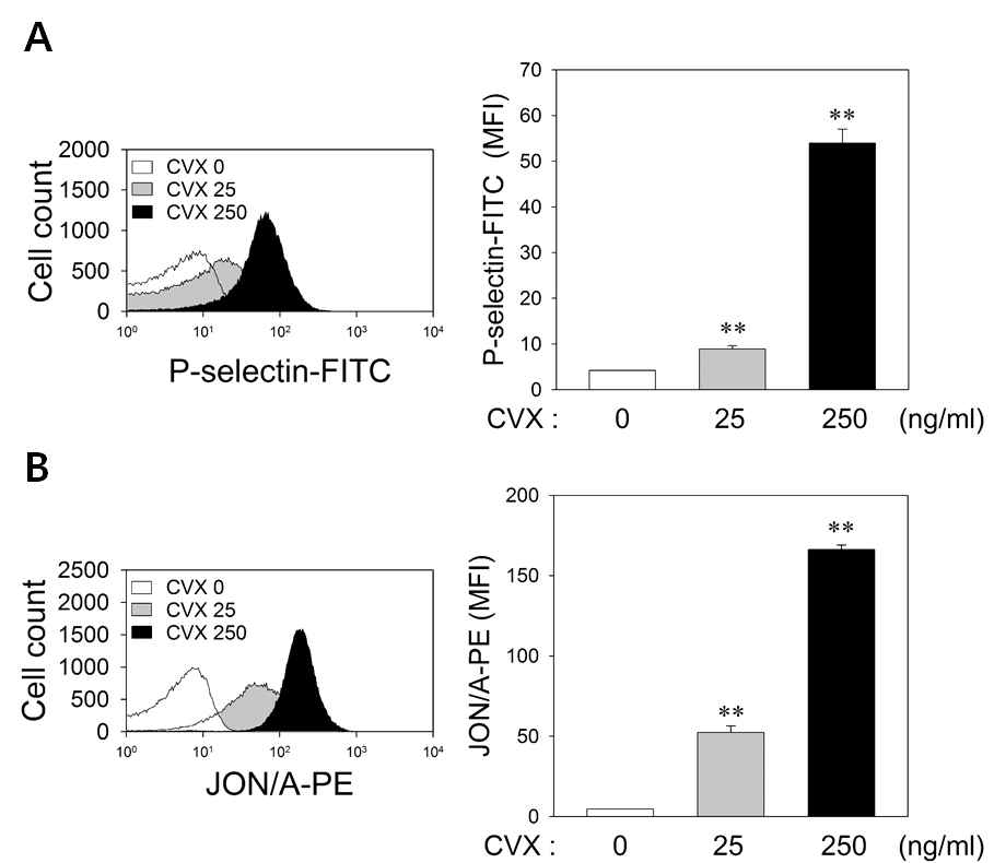 CVX 농도 의존적 혈소판 표면의 P-selectin(A)와 integrin αIIbβ3(B) 발현 증가와 활성화