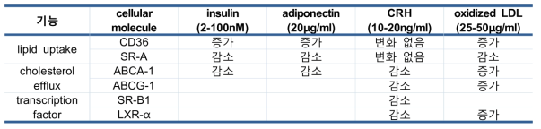 대식세포의 포말세포화에 관여하는 다양한 molecule들과 이에 영향을 주는 호르몬들