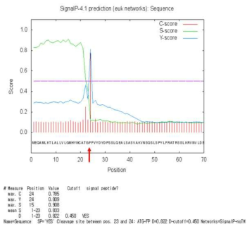 Human SPP2의 signal cleavage site 분석