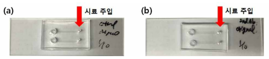 항체 고정용 아민기 확보를 위한 APTES 코팅 칩의 제작 (a) APTES를 처리하지 않은 칩, (b) APTES를 처리한 칩